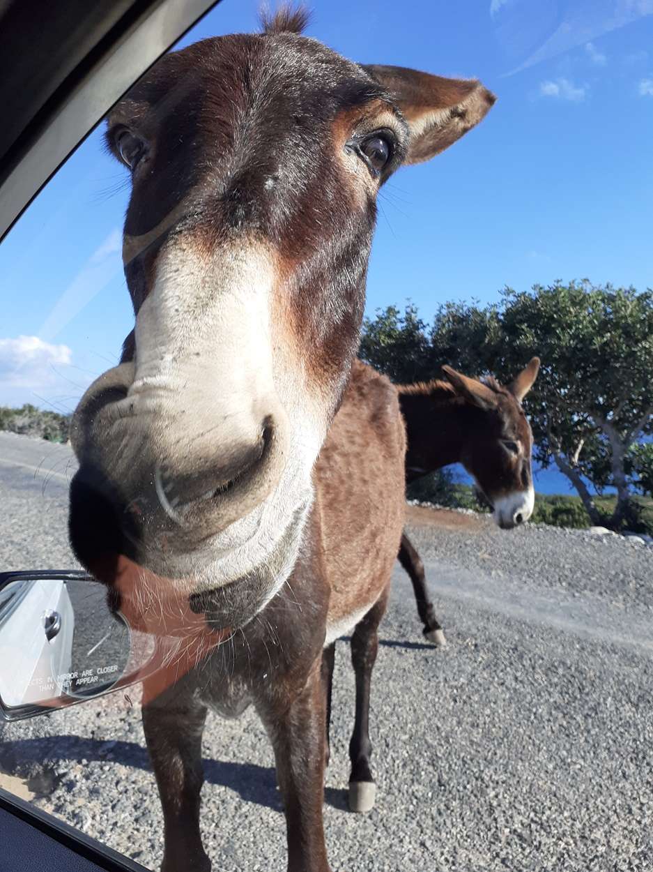 Visiting Cyprus by car and playing hide-and-seek