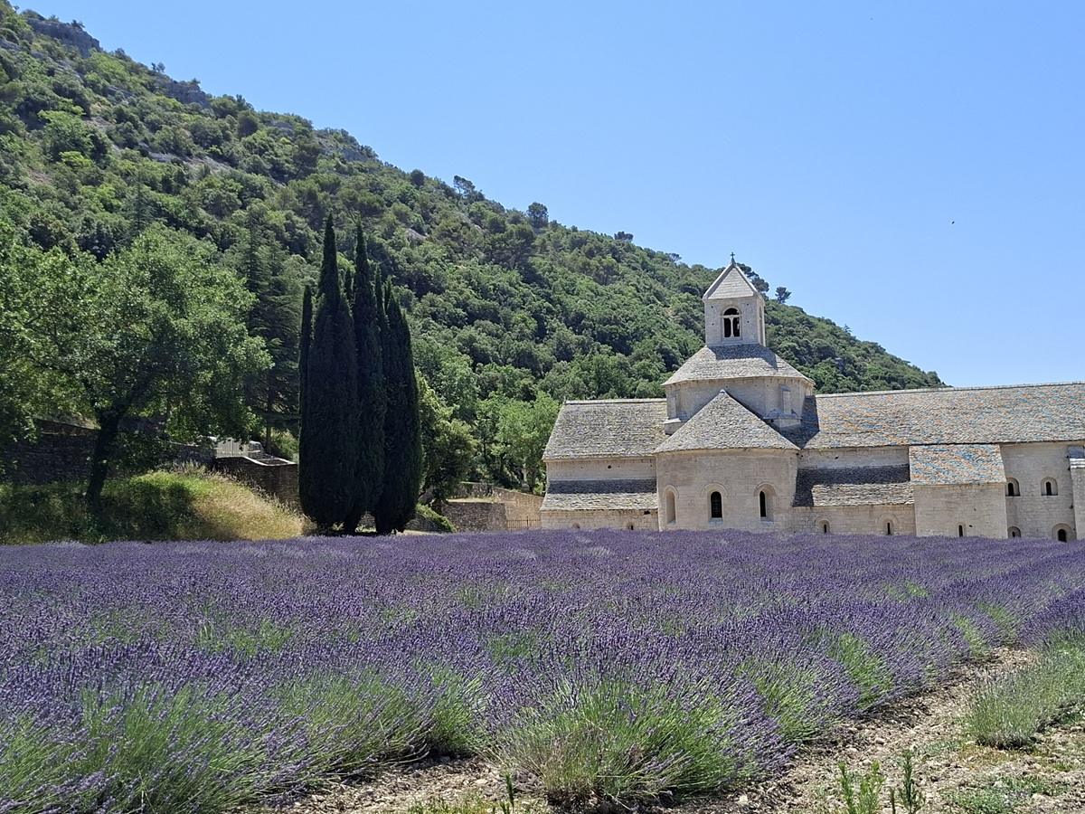 Annullare un viaggio cercando i campi di lavanda