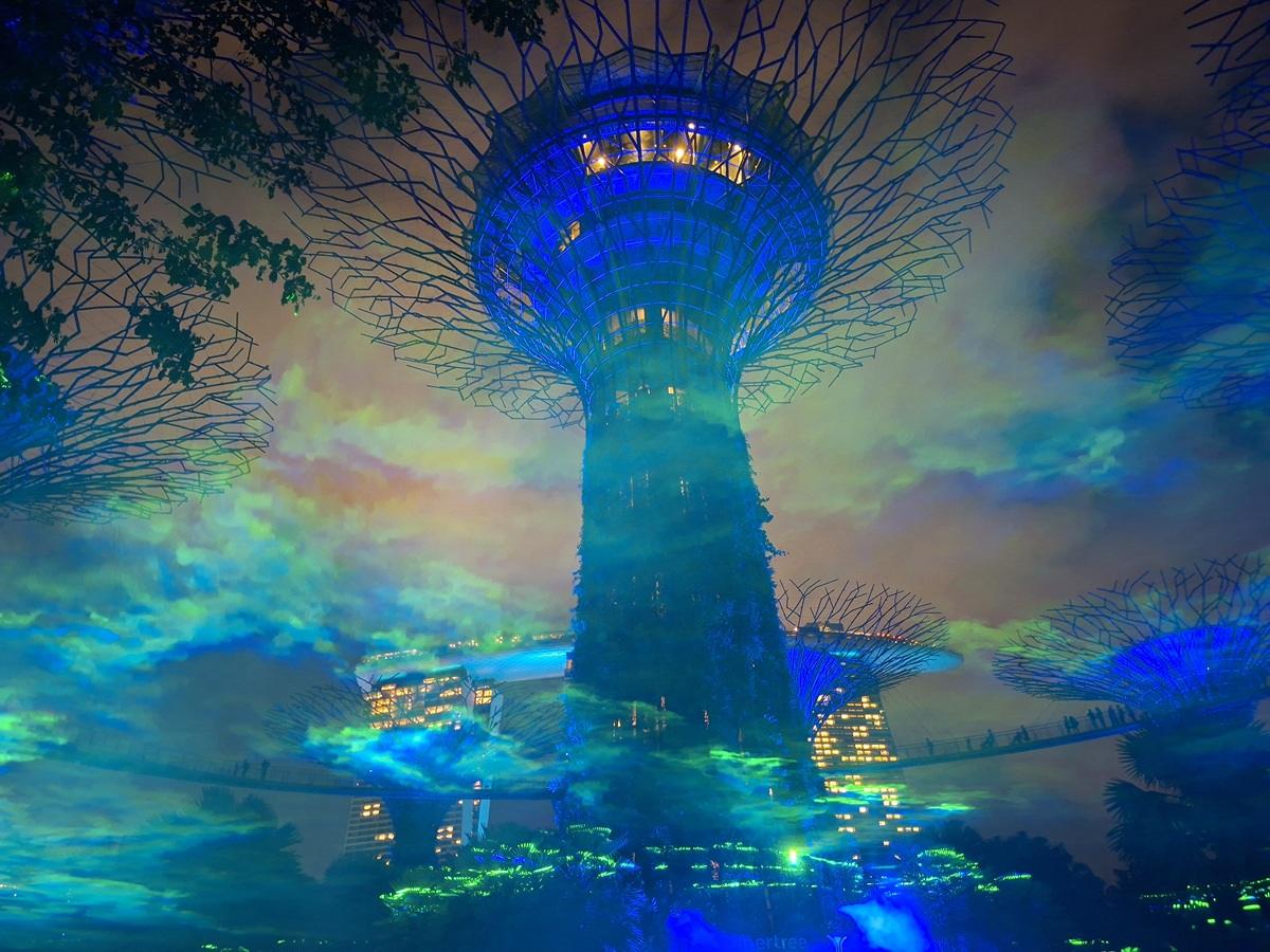 Video da Singapore - gardens by the bay